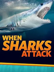 When Sharks attack...
