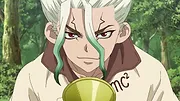 Dr. STONE