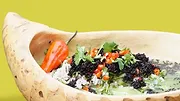 L'origine des saveurs