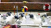 Shaun le mouton S1 E23