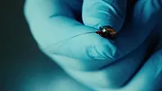 L'Art de l'espionnage