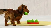 Minibarna
