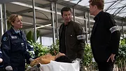 Section de recherches S13 E14