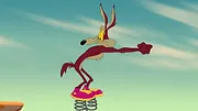 Looney Tunes Cartoons