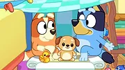 Bluey S3 E38
