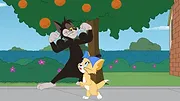 Tom et Jerry Show