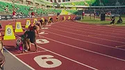 SPRINT