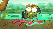 Amphibia