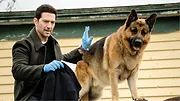 Hudson et Rex