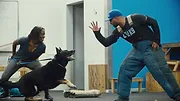 Canine Academy