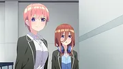 The Quintessential Quintuplets