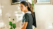 The Cleaning Lady