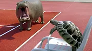 Athleticus S1 E7
