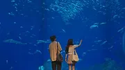 キンパとおにぎり〜恋するふたりは似ていてちがう〜