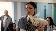 The Cleaning Lady