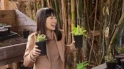 L'étincelle du bonheur avec Marie Kondo