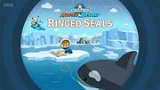 Les Octonauts : Mission Terre