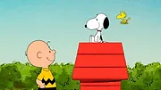 Le Snoopy Show