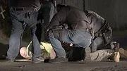 Les États-Unis, terre d'immigration