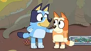 Bluey S1 E13