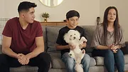 Canine Academy