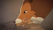 Lassie S2 E24