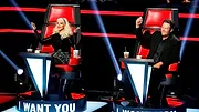 The Voice (États-Unis)
