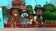 Madagascar : La savane en délire