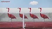 Athleticus S1 E24