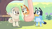 Bluey S1 E15