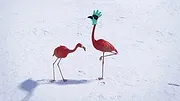 Athleticus