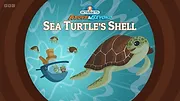 Les Octonauts : Mission Terre