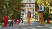 Pup Academy : L'école secrète