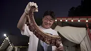 Le bœuf : Une passion coréenne