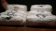 Barons de la drogue