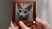 Cat People