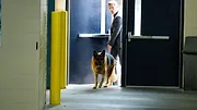 Hudson et Rex S4 E8