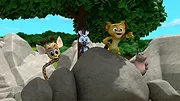 Madagascar : La savane en délire