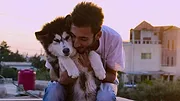 Nos amis les chiens