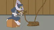 Tom et Jerry Show