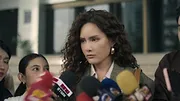 The Evil Lawyer