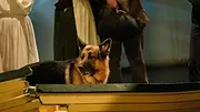Hudson et Rex S5 E14