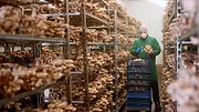 Bien dans son assiette : La preuve par deux
