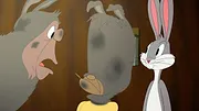 Looney Tunes Cartoons