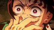 Demon Slayer : Kimetsu no Yaiba