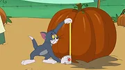 Tom et Jerry Show S5 E11