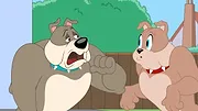 Tom et Jerry Show S5 E22