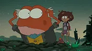Amphibia