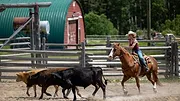 Heartland S16 E3