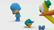 Pocoyo